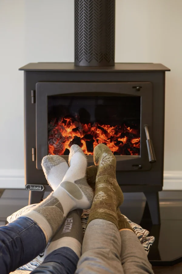 Franklin Freestanding Wood Heater